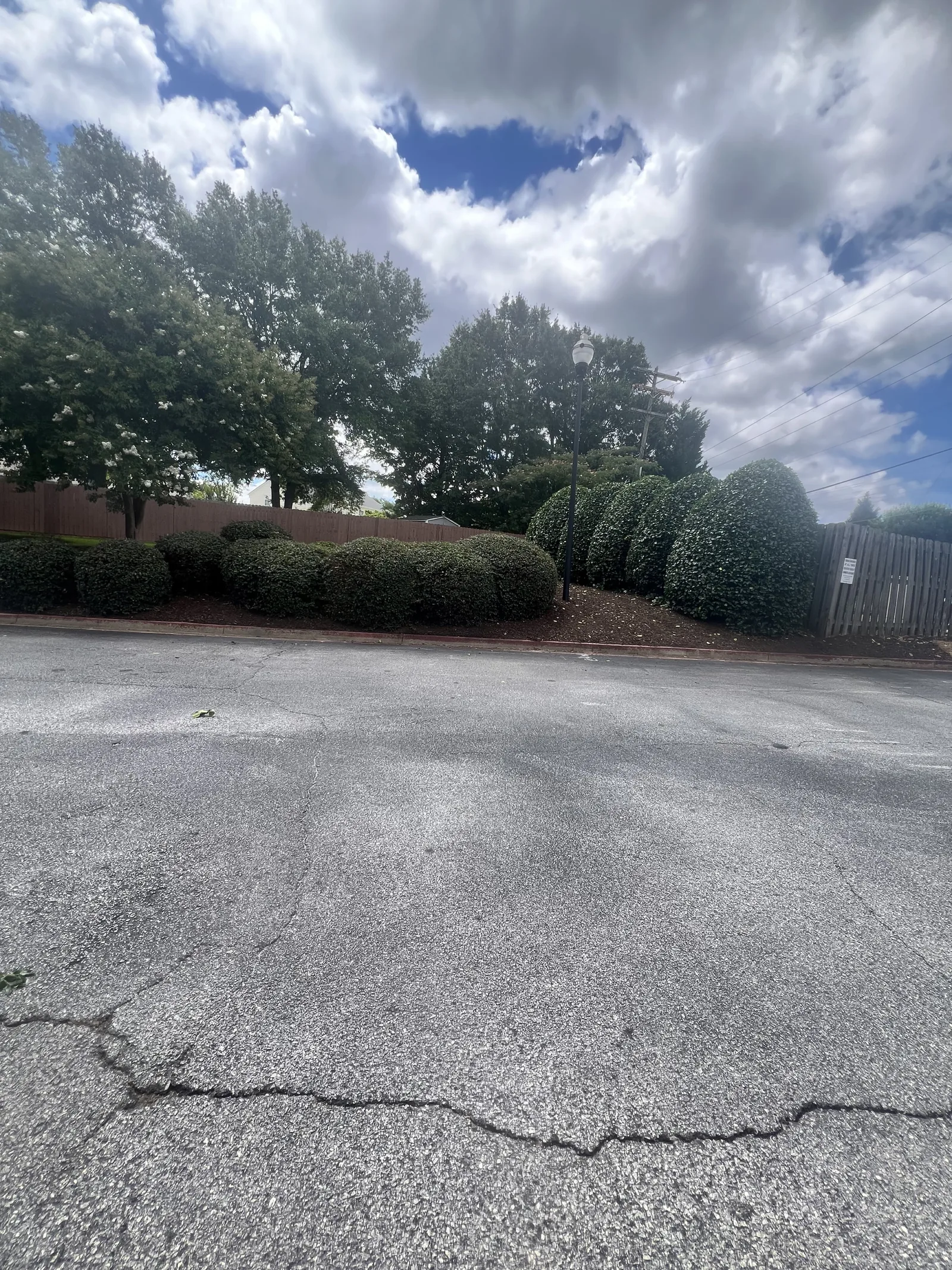 Trimmed hedges on a maintained property