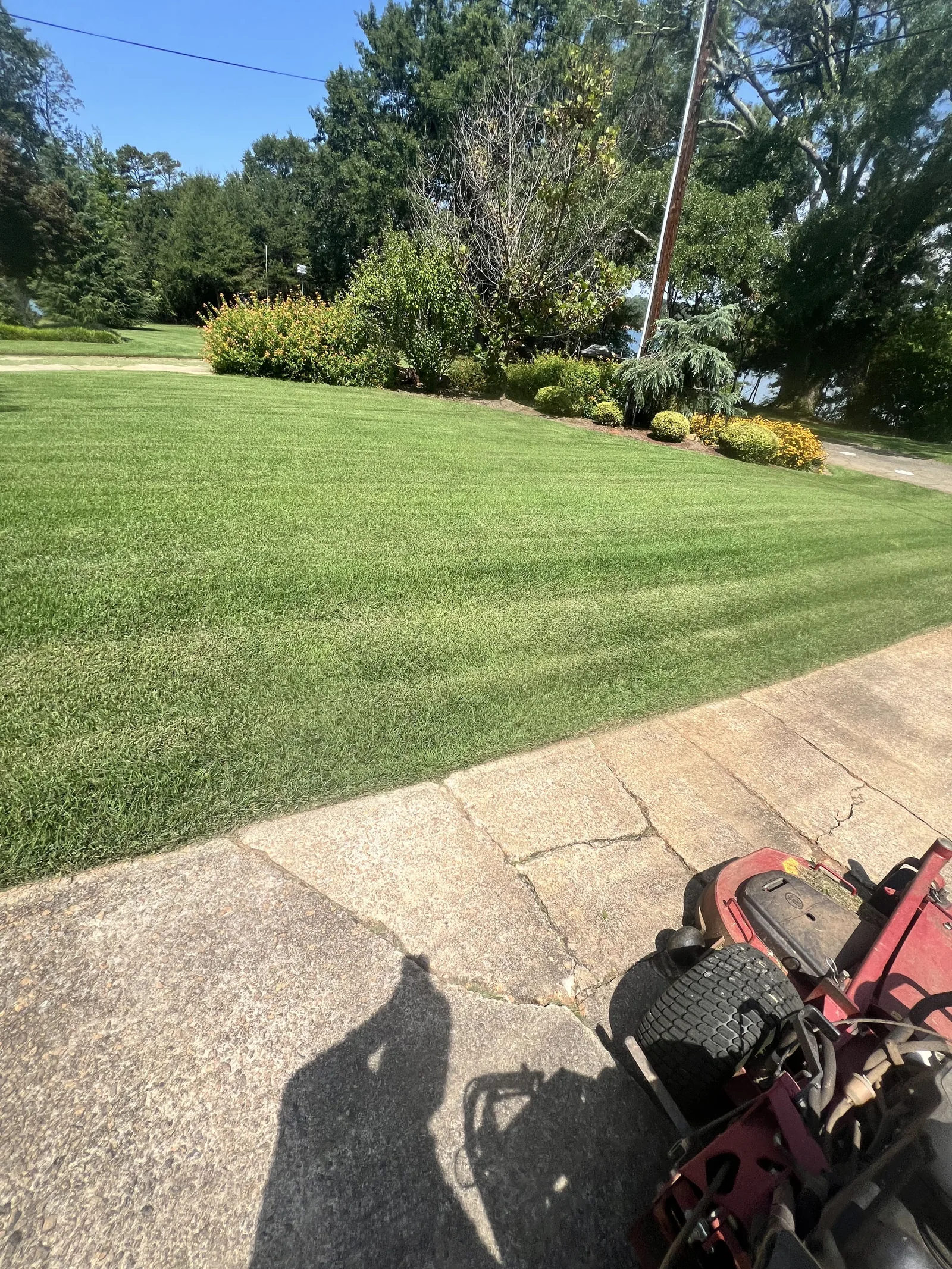 Freshly cut green lawn with mowing stripes